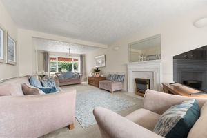 Photo 40- click for photo gallery